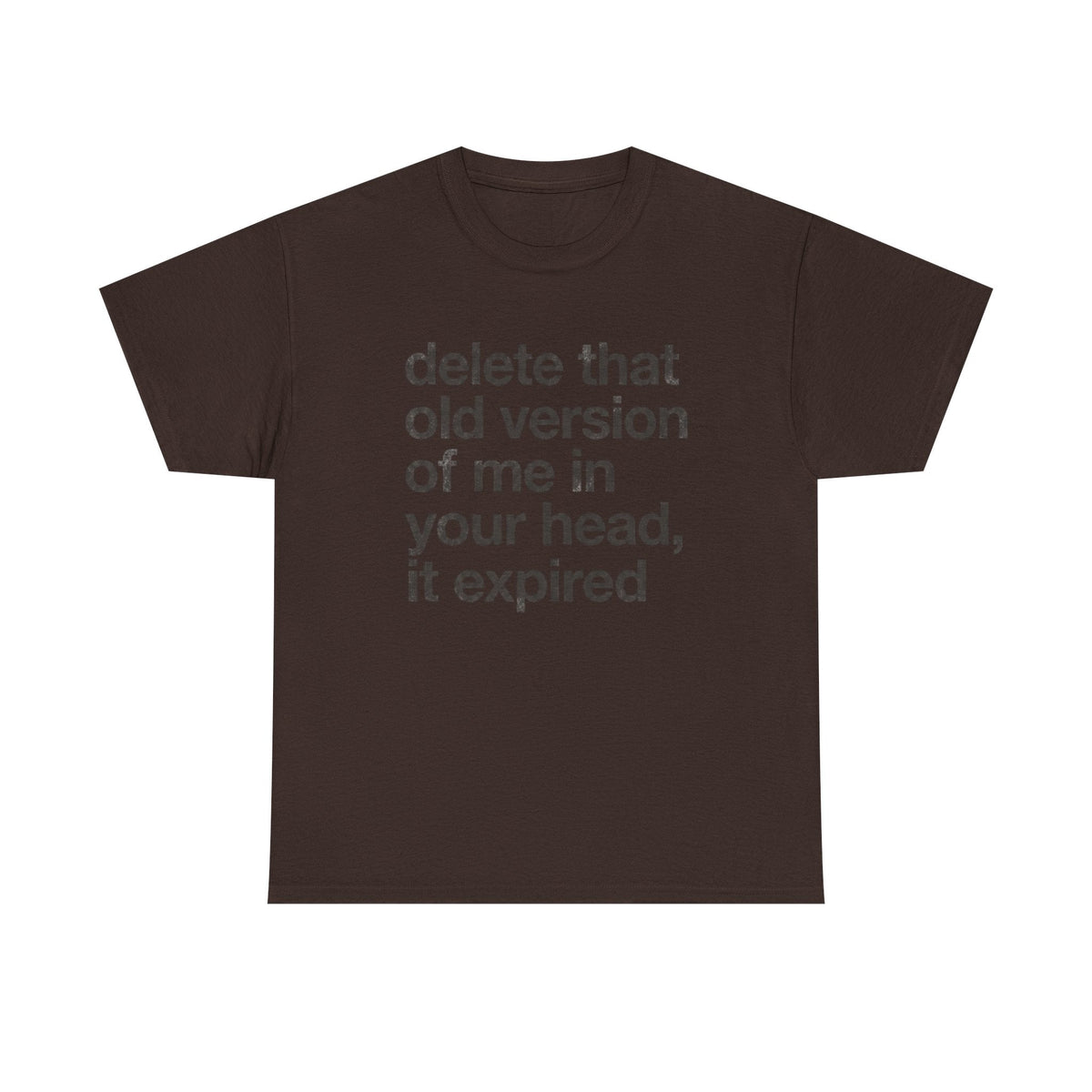 Statement Tee — “delete that old version of me in your head, it expired” Minimalist Typography T-Shirt