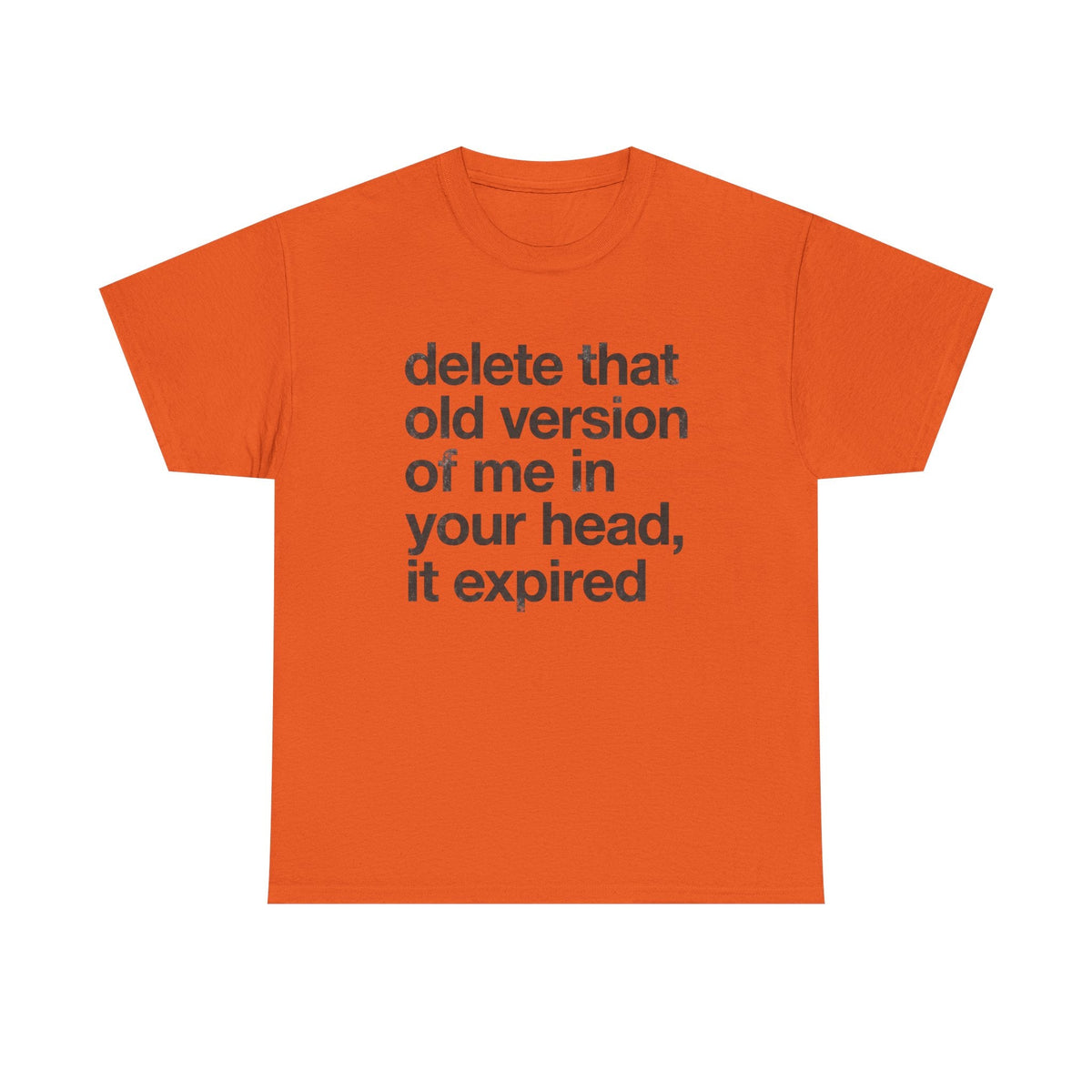 Statement Tee — “delete that old version of me in your head, it expired” Minimalist Typography T-Shirt