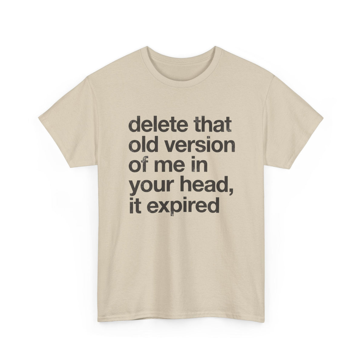 Statement Tee — “delete that old version of me in your head, it expired” Minimalist Typography T-Shirt